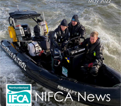 Read more about NIFCA News May 2022