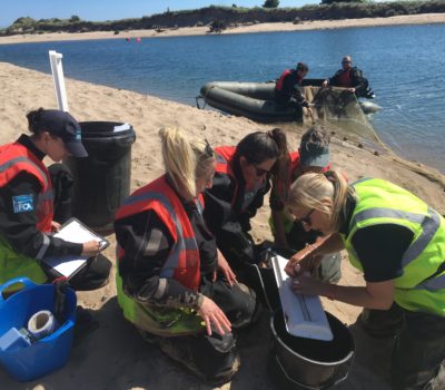 Read more about ALN ESTUARY MARINE CONSERVATION ZONE: A Vital Nursery for North Sea Fish