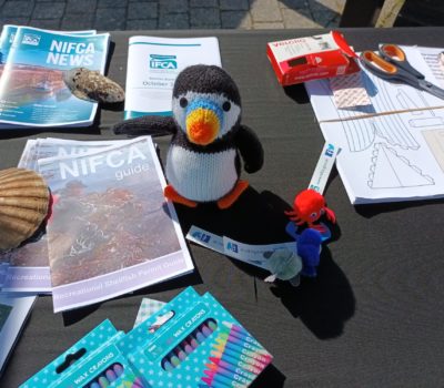 Read more about NIFCA AND AMBLE PUFFIN FESTIVAL