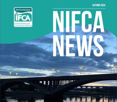 Read more about NIFCA News! Autumn 2024