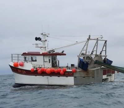 Read more about NIFCA to Introduce Trawling Management Measures in Marine Conservation Zone