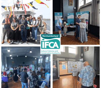 Read more about NIFCA Supports North Shields 800 Celebrations with Local Outreach and Education