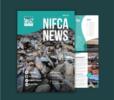 Read more about NIFCA News