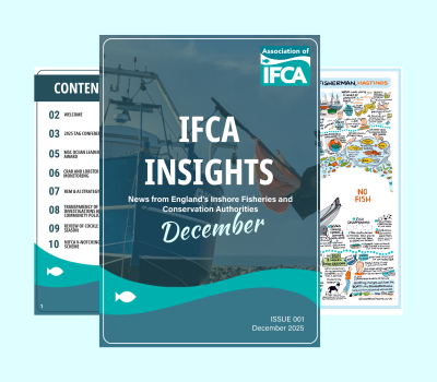 Read more about IFCA Insights