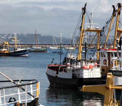 Read more about Consultations open for Final four Defra-led FMPs