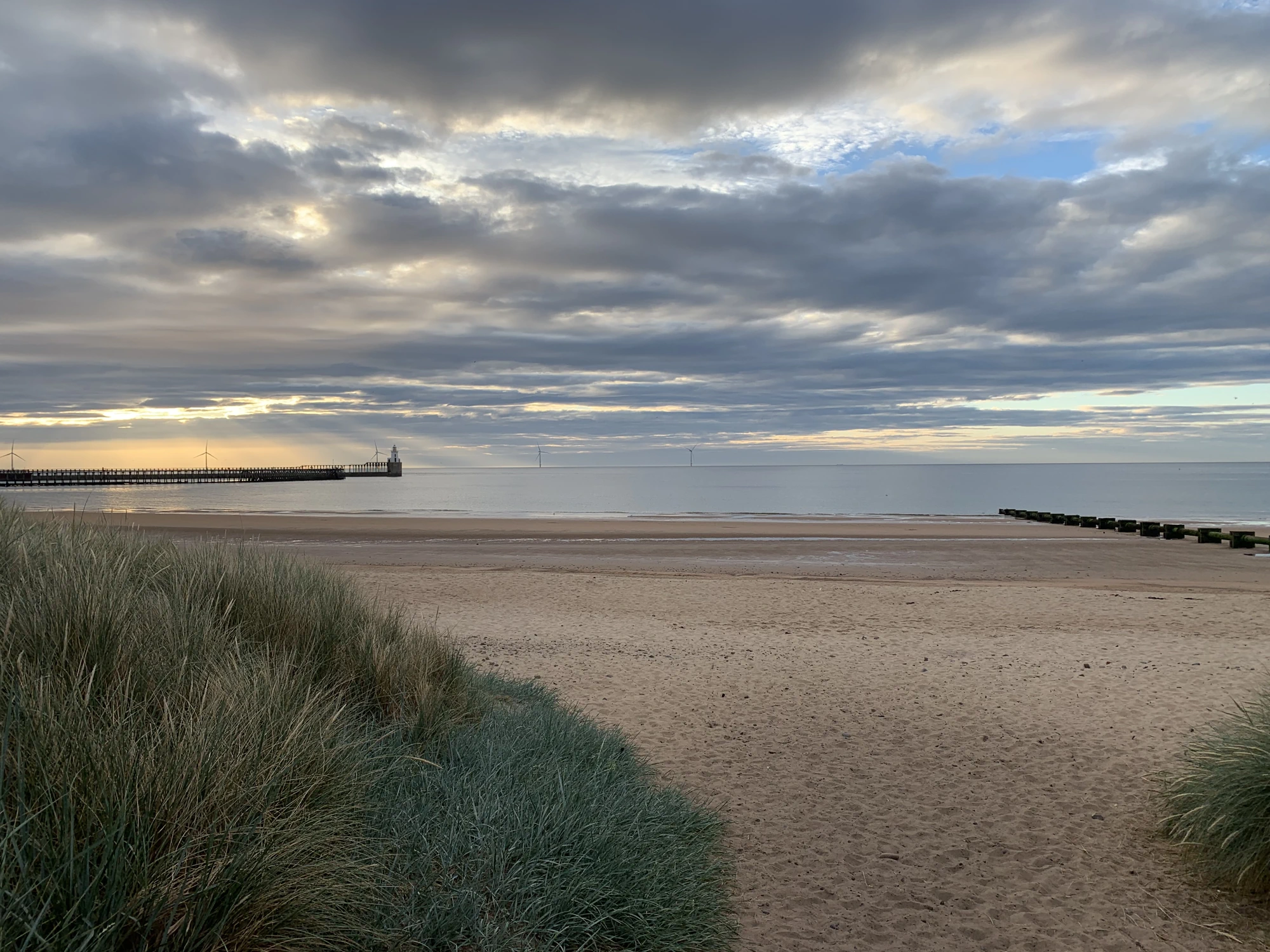 View of the Northumberland coast from sandy dunes.