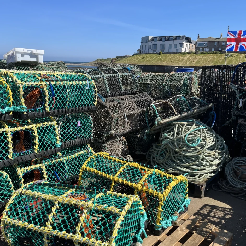 Crab and lobster pots in sunshine on North Sunderland coast.