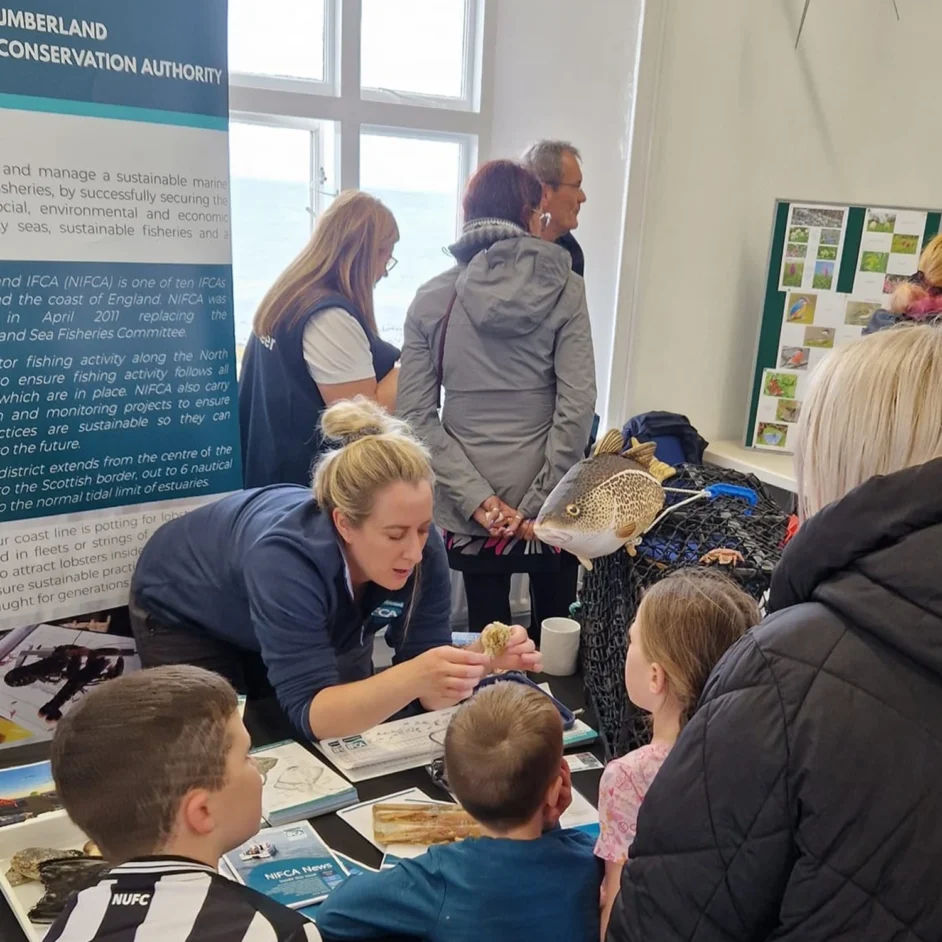 NIFCA stall at local event with Environmental Officer showing children examples of local marine life.