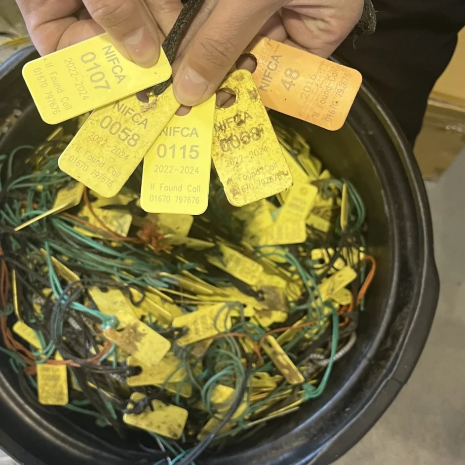 Close-up of NIFCA tags.
