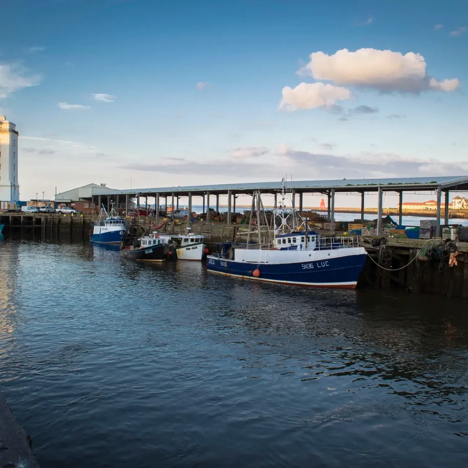 North Shields Fish Quay with boats docked and blue skies.