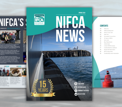 Read more about NIFCA News Spring 2026