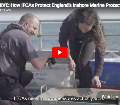 Read more about Association of IFCAs Launches New Film ‘Conserve’ on World Oceans Day