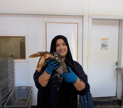 Read more about From sea pens to policy – Hajar’s week inside marine conservation at NIFCA