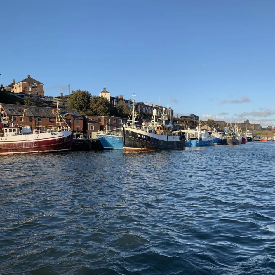 North Shields fish quay with lots of commercial fishing boats docked.