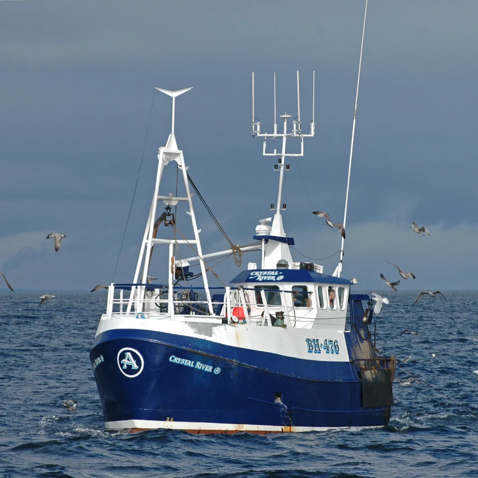 Crystal River trawler, blue and white fishing boat surrounded by seagulls.
